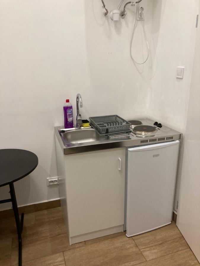 Roland Apartment Downtown - Keleti 布达佩斯 外观 照片