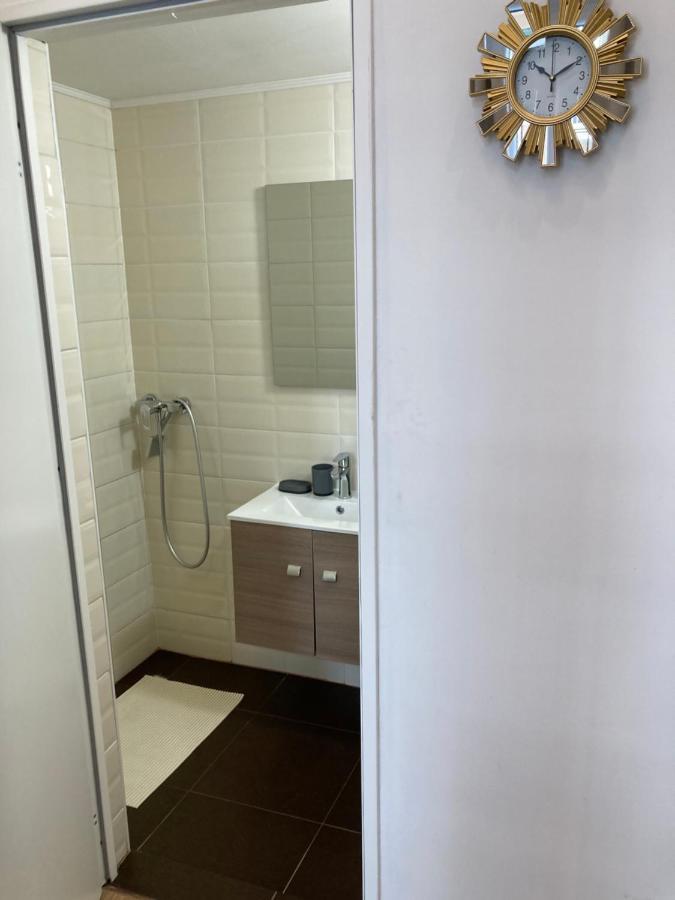Roland Apartment Downtown - Keleti 布达佩斯 外观 照片